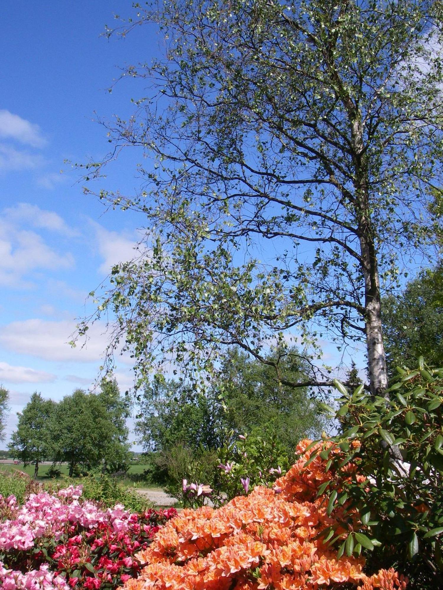 Mikkelborg Kro Rødding Buitenkant foto